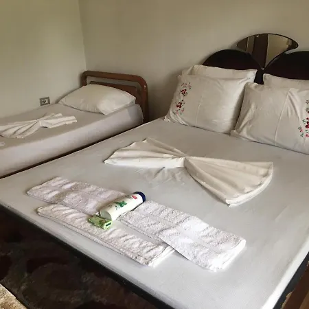 Izet Selimaj Guest house *